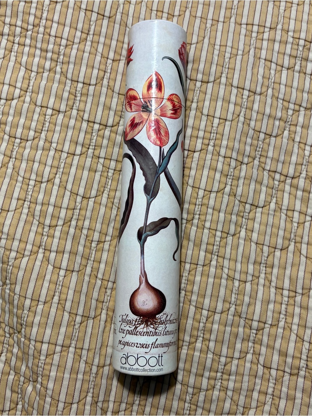 RARE Abbott Collection Tall Tulip Match Tube Discontinued Botanical Art